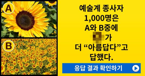 당신의 예술 감수성 측정 테스트!